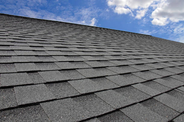 Best Roof Maintenance and Cleaning  in Piney Mountain, VA